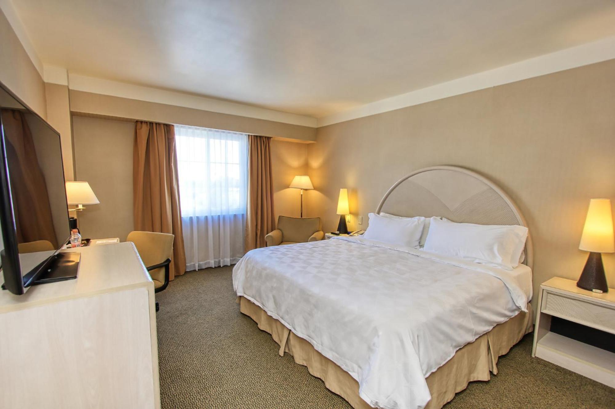 Holiday Inn Leon-Convention Center By Ihg Exterior foto
